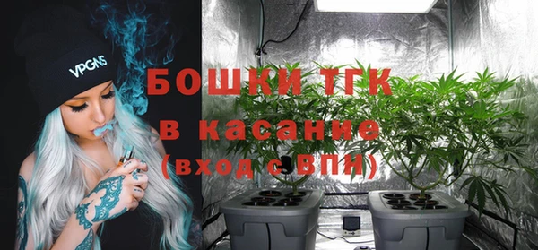 твердый Аркадак