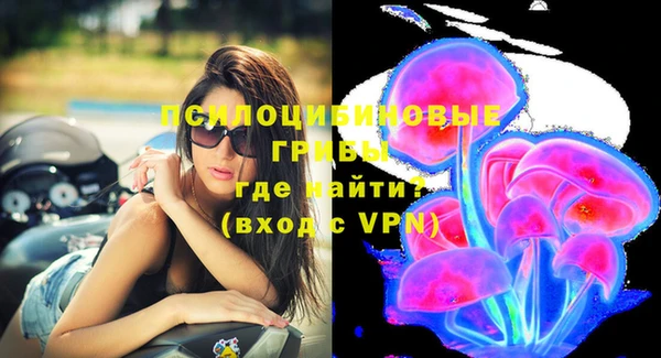 твердый Аркадак