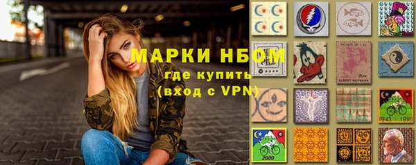 твердый Аркадак