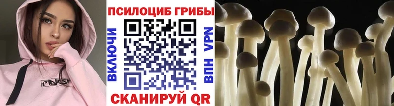 Галлюциногенные грибы GOLDEN TEACHER Новоузенск